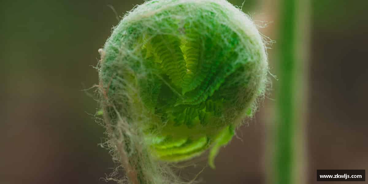 yy易游官网平台青春无畏，梦想前行。